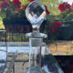 Carafe to