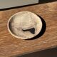Vide poche, plat ou assiette circulaire en bois pétrifié beige tache noire