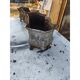 Pair of cast iron planters from 1900 in Charleville - Mézières