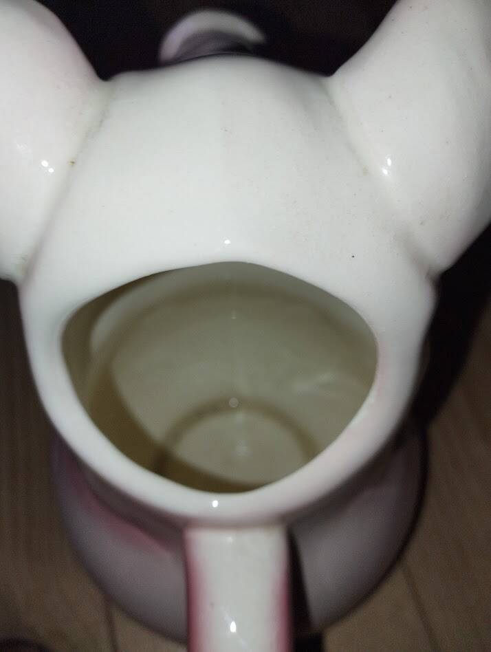 Large pig jug in earthenware – Saint-Clément France, exceptional condition