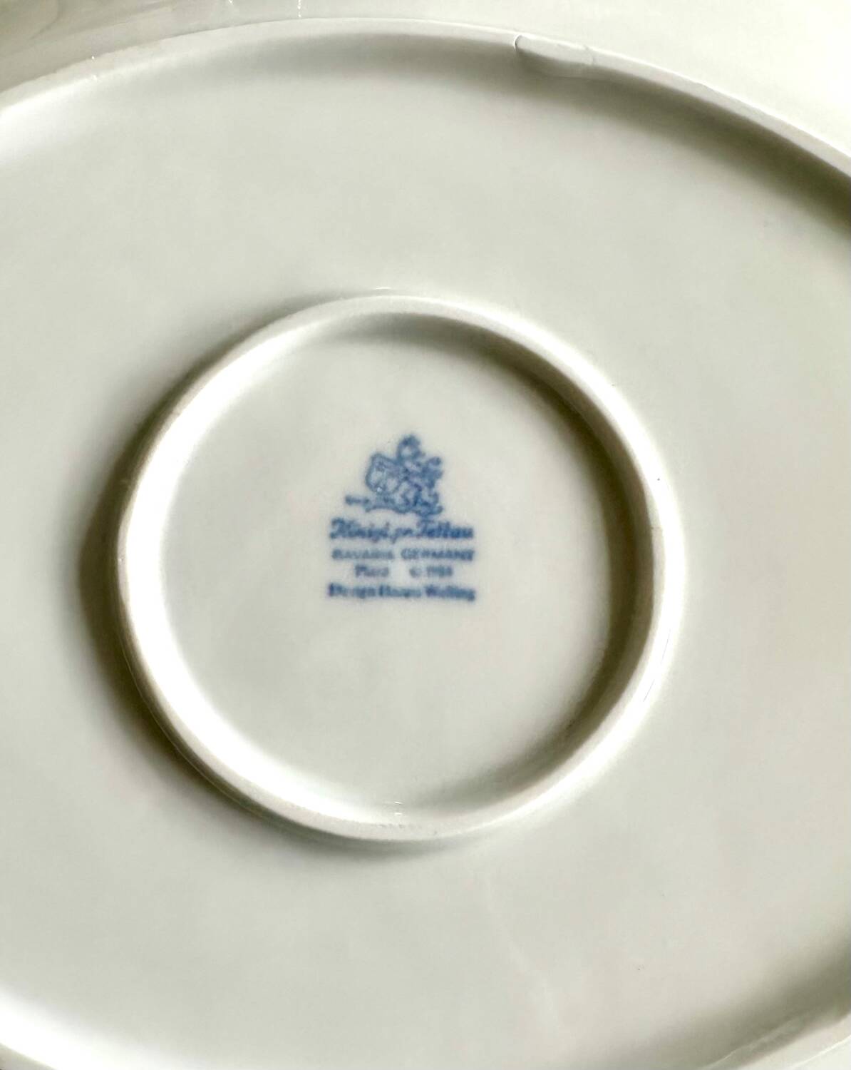 Set of 6 Royal Tettau German porcelain fish plates