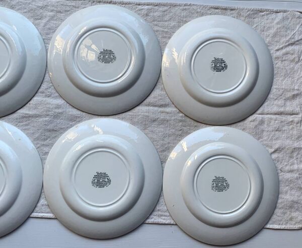 6 assiettes plates anglaises Staffordshire Victoria