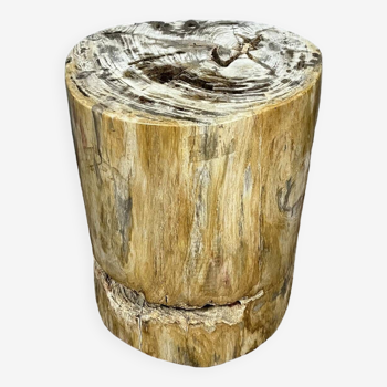 Side table or stool in fossilized petrified wood from Indonesian forests