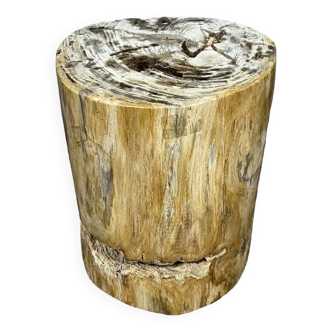 Side table or stool in fossilized petrified wood from Indonesian forests