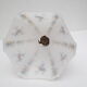 Old wall lamp 45° and its tulip lampshade decorated with flowers