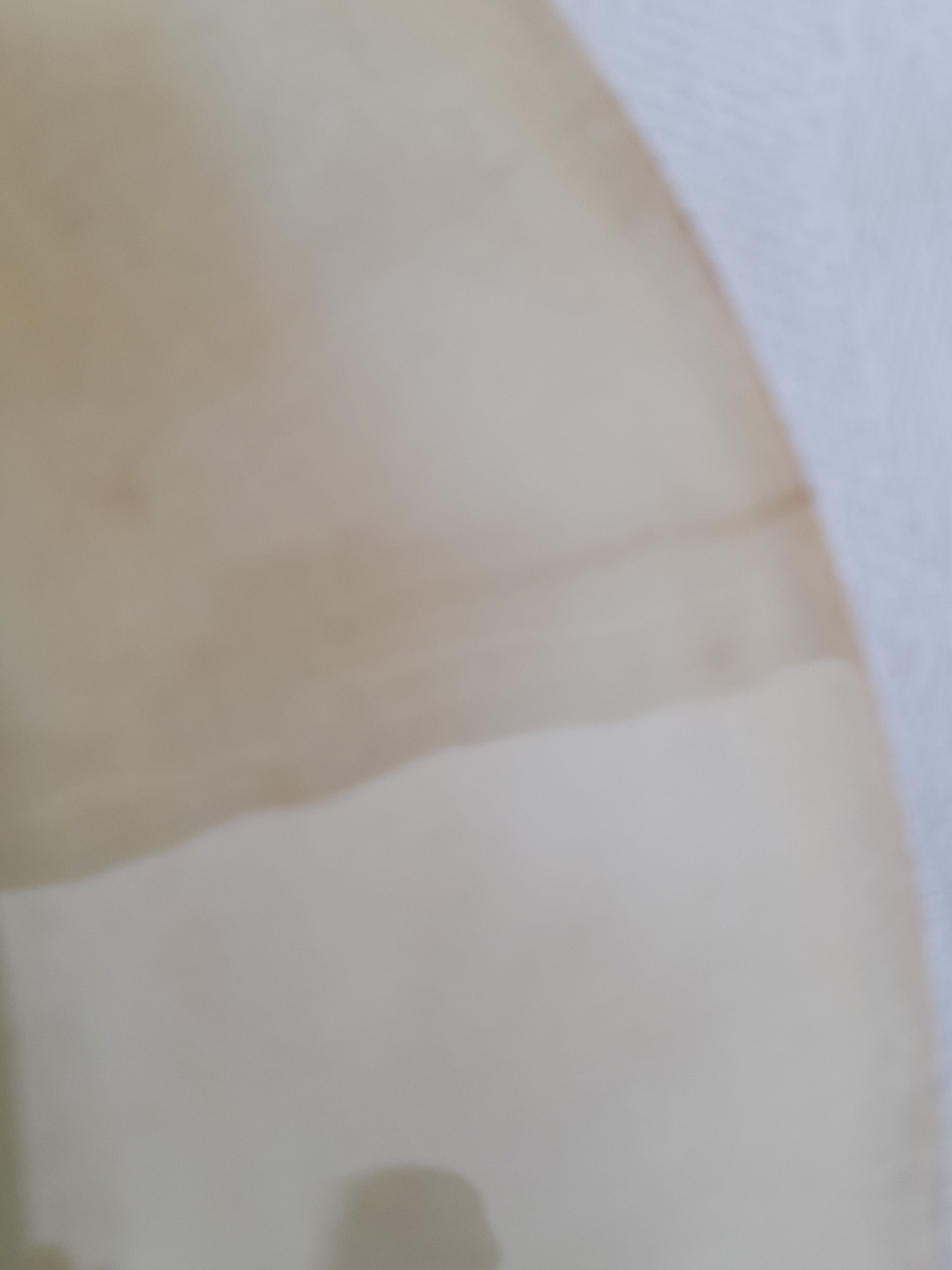 Hollow plate in earthenware from Creil & Montereau cute service Labrador diam 23 cm