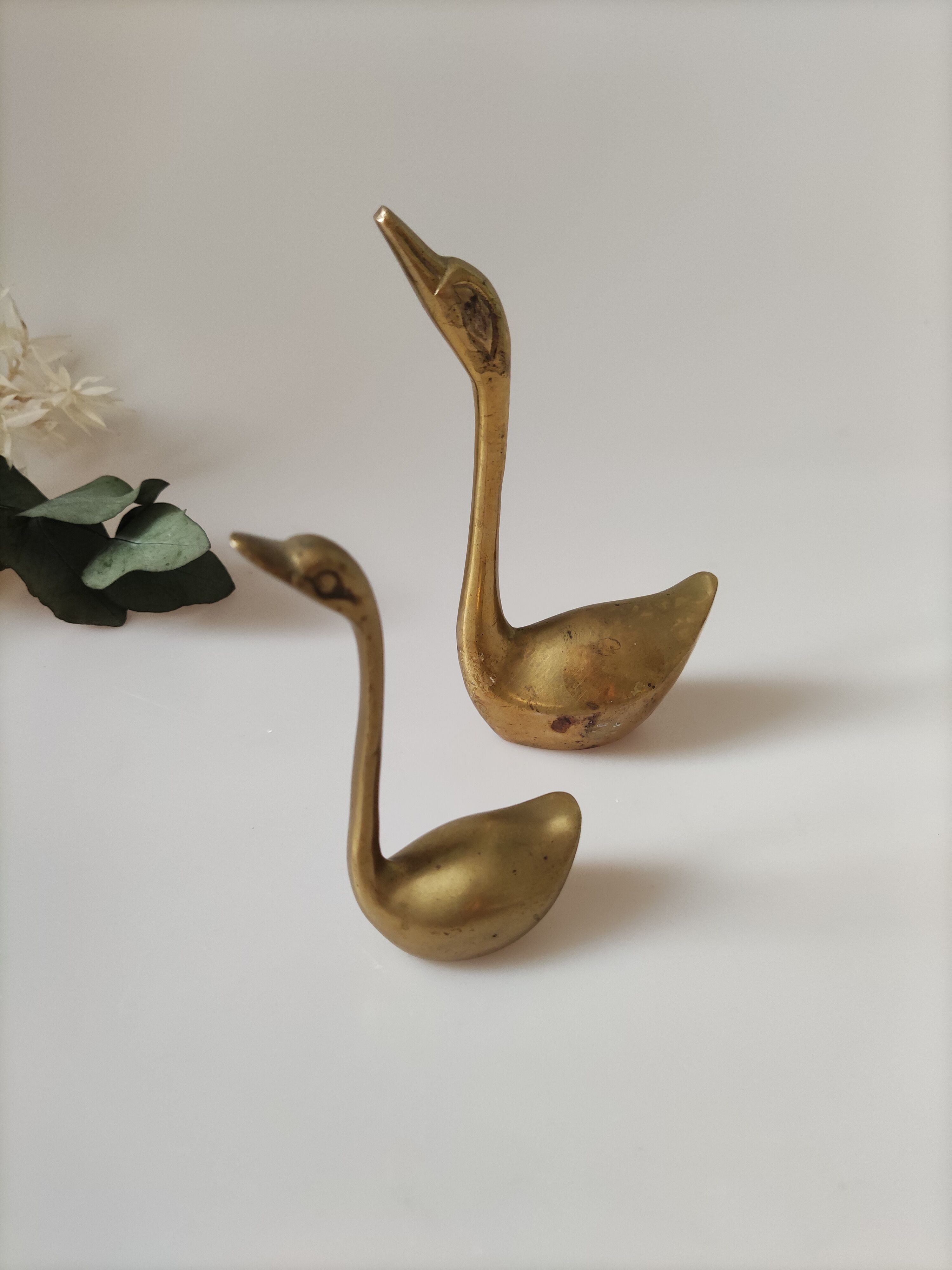 Golden brass swan duo
