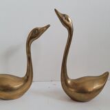 Duo brass swans