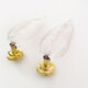 Pair of brass and muranoglass shell sconces