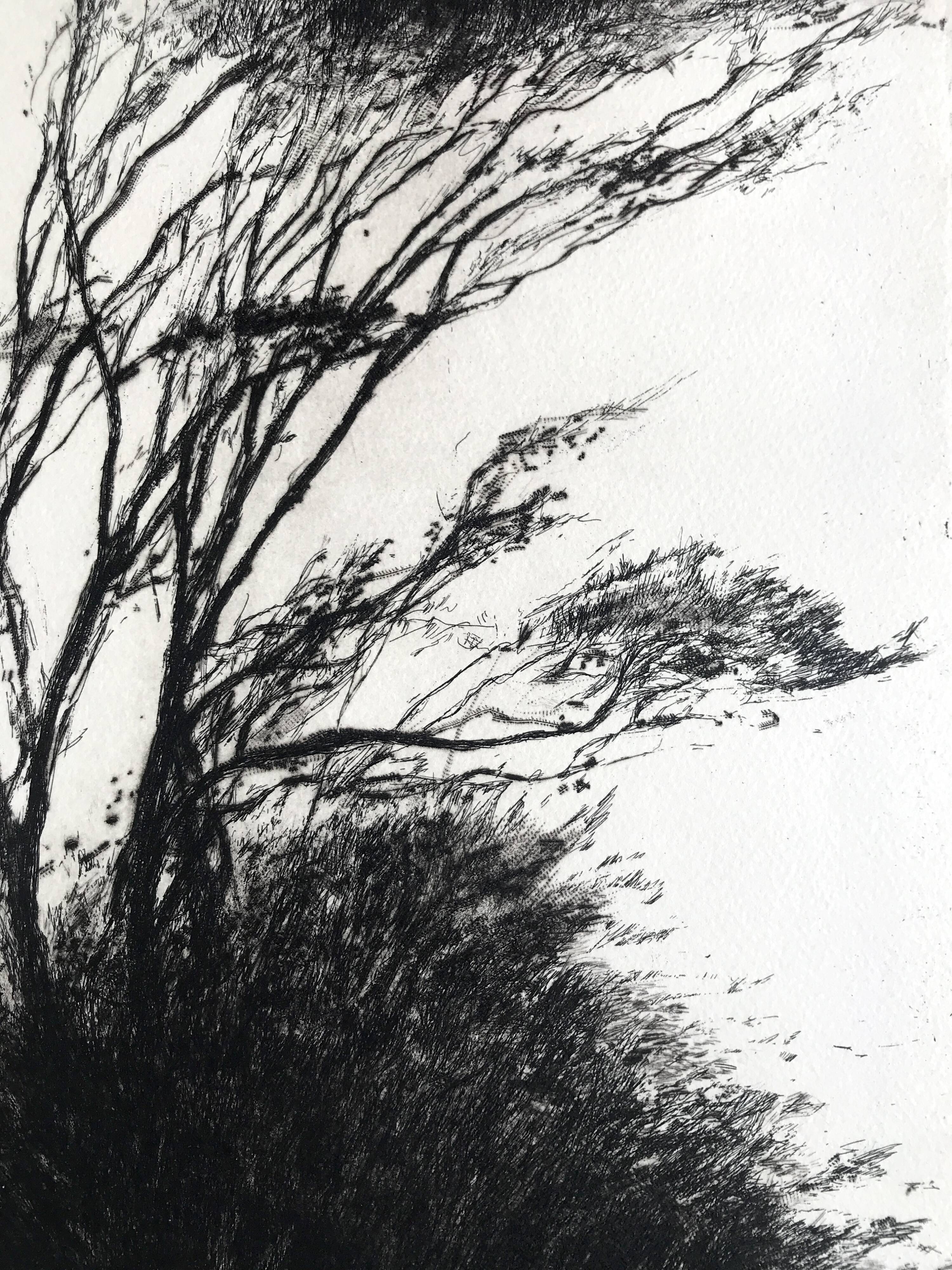 Nicole BOUHARMONT, Tempête, 2013. Original signed drypoint