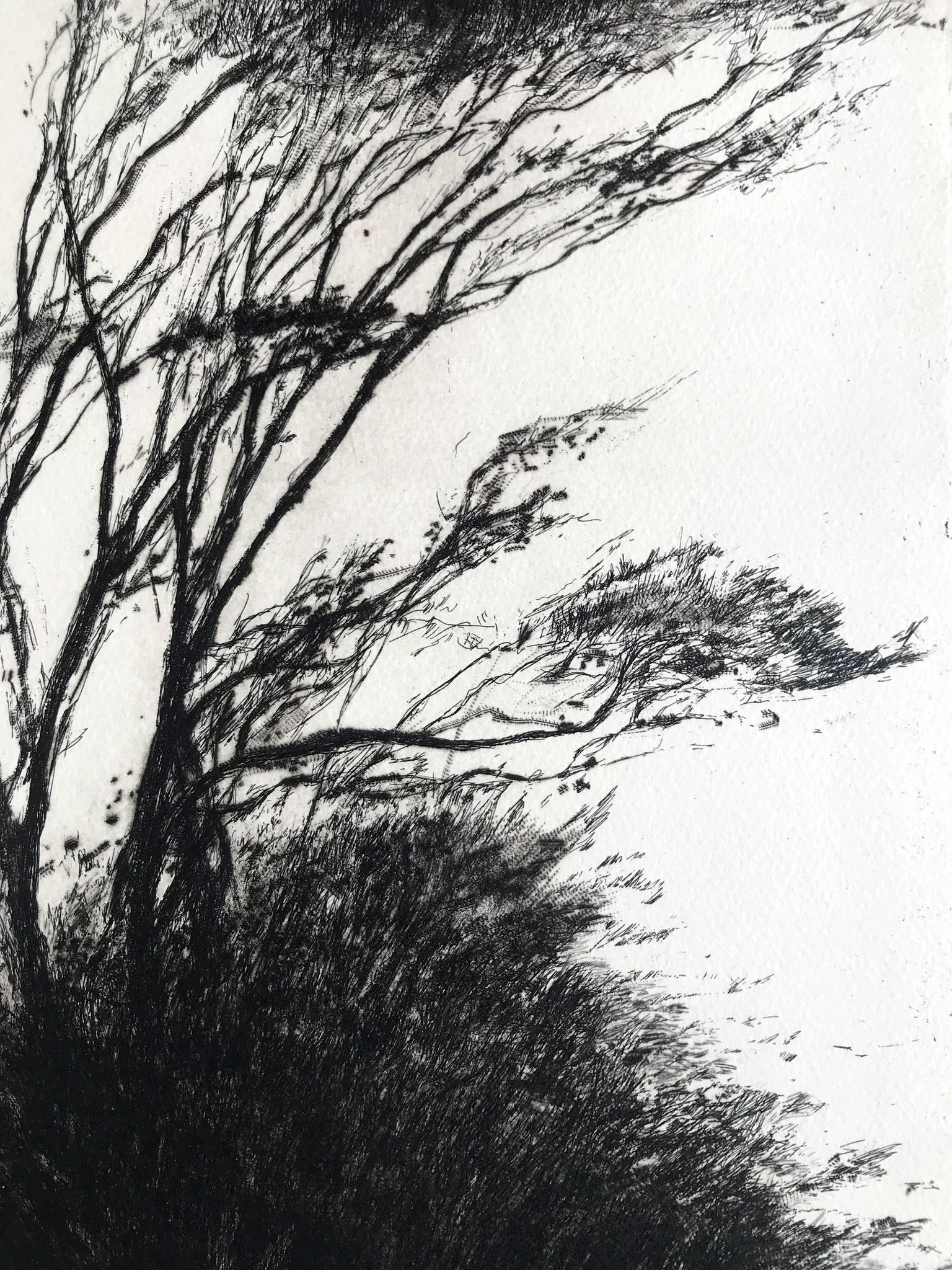 Nicole Bouharmont, tempête, 2013, pointe sèche originale signée