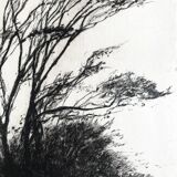 Nicole BOUHARMONT, Tempête, 2013. Original signed drypoint