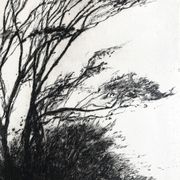 Nicole Bouharmont, tempête, 2013, pointe sèche originale signée