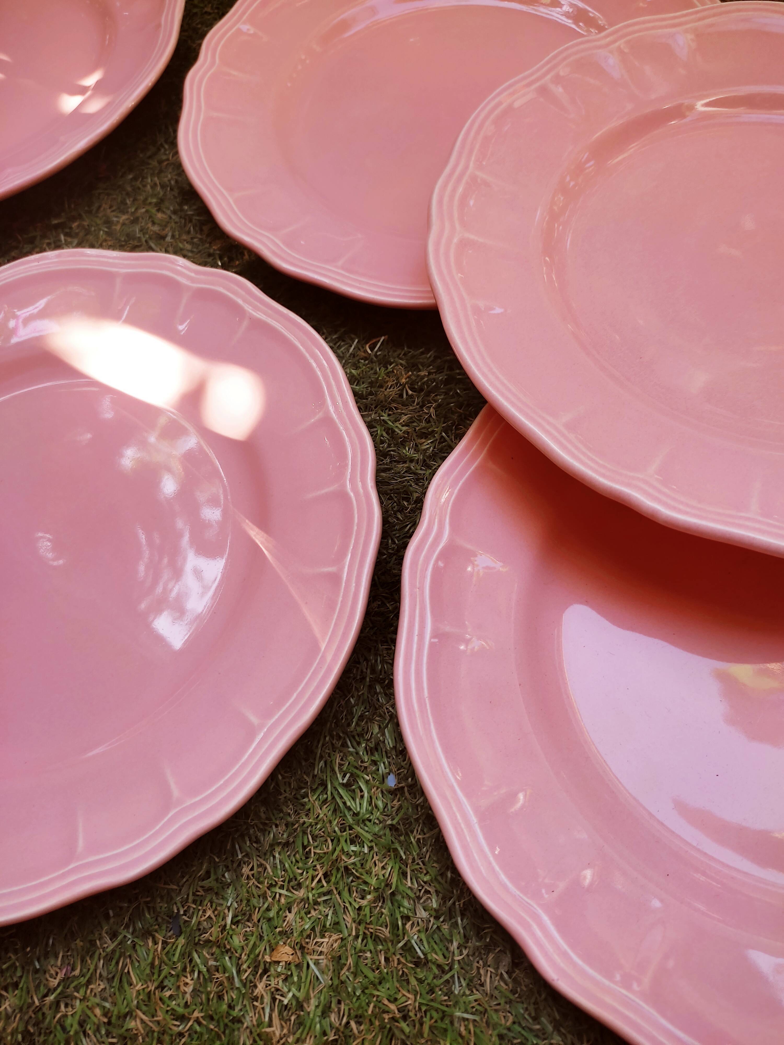 6 Salins plates in Provençal style earthenware