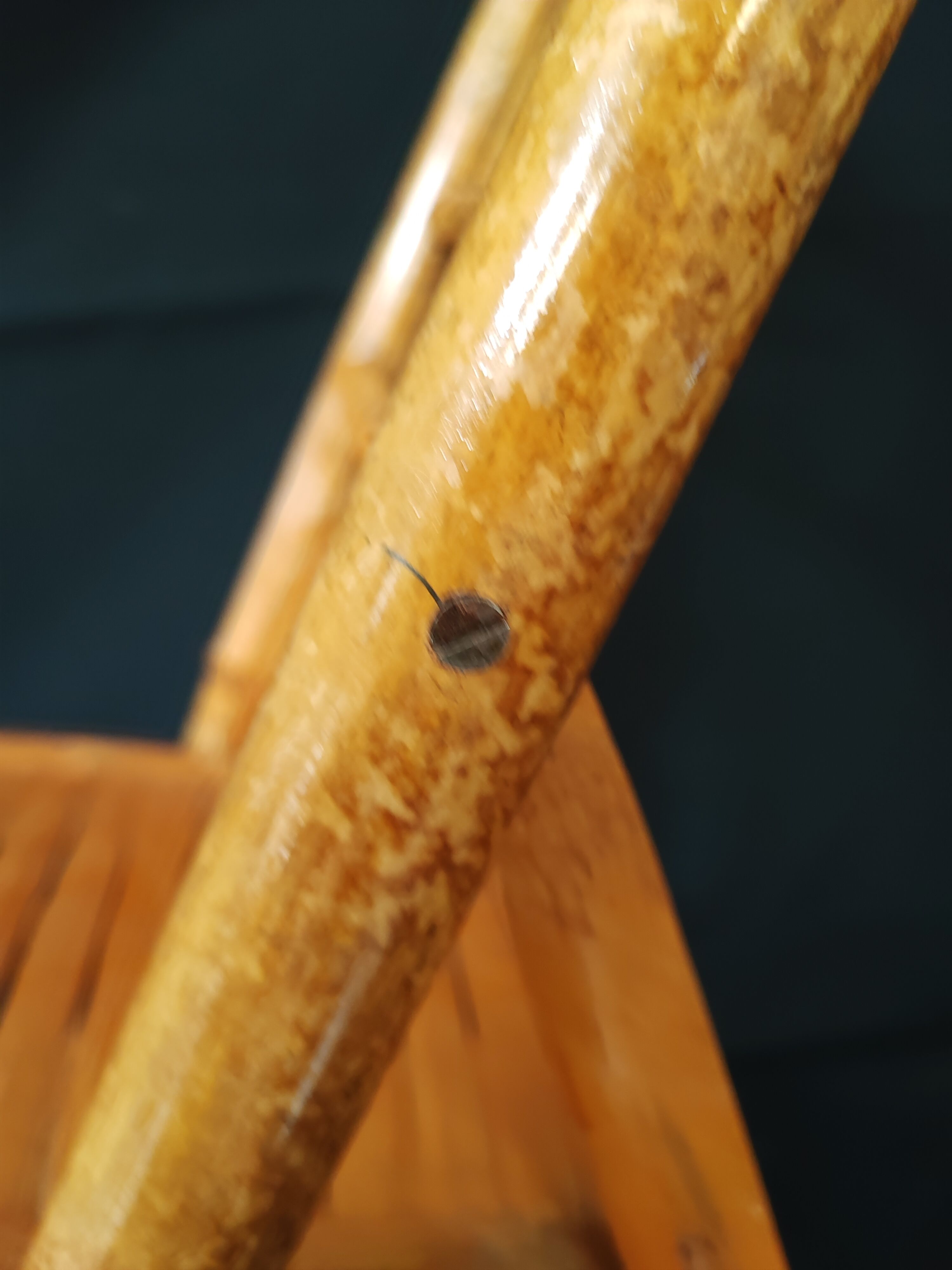 Folding bamboo chair for children