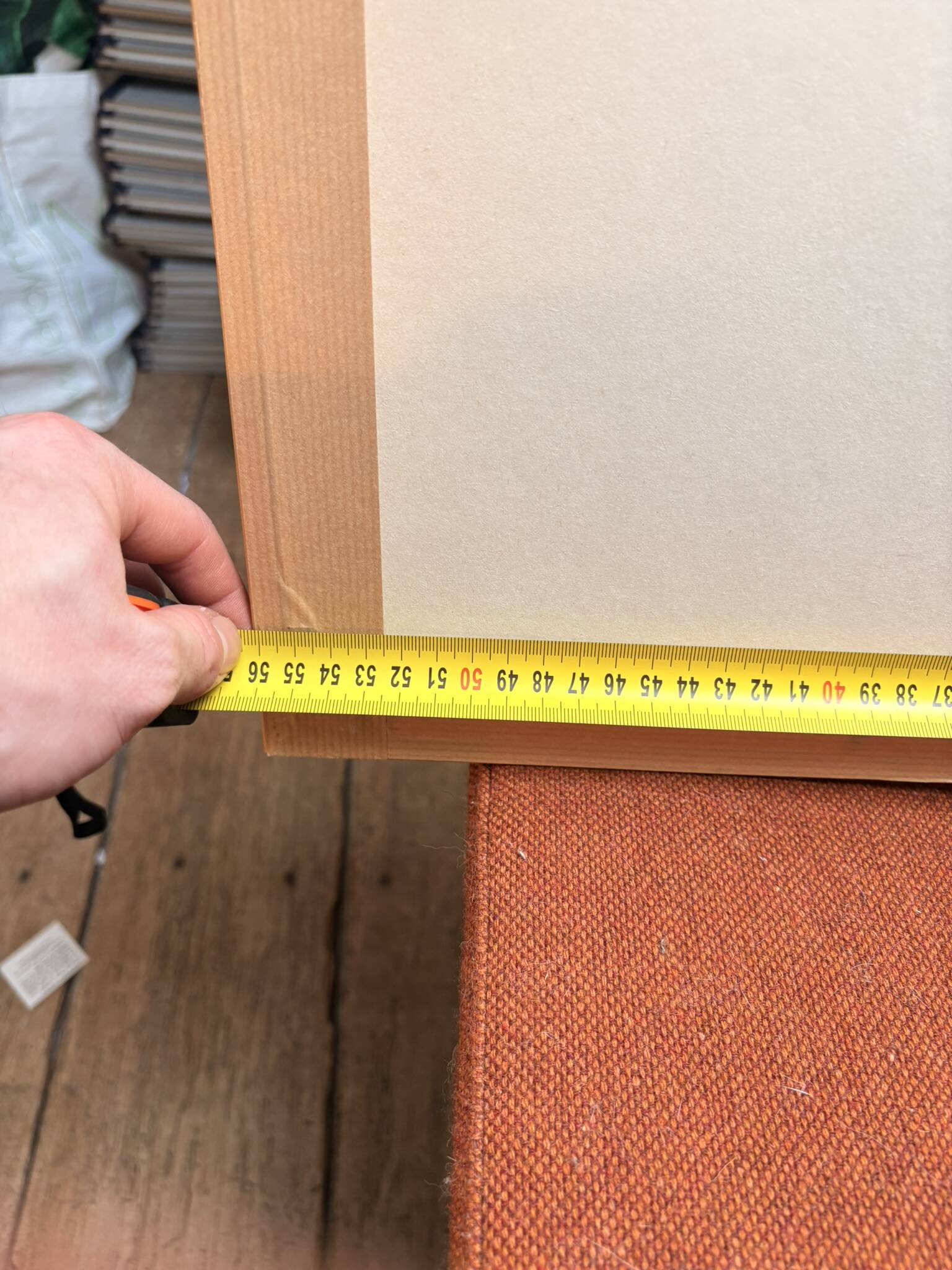 Old Print Engraving 19th Century Anatomy Nose Mouth Plate Head Morphology