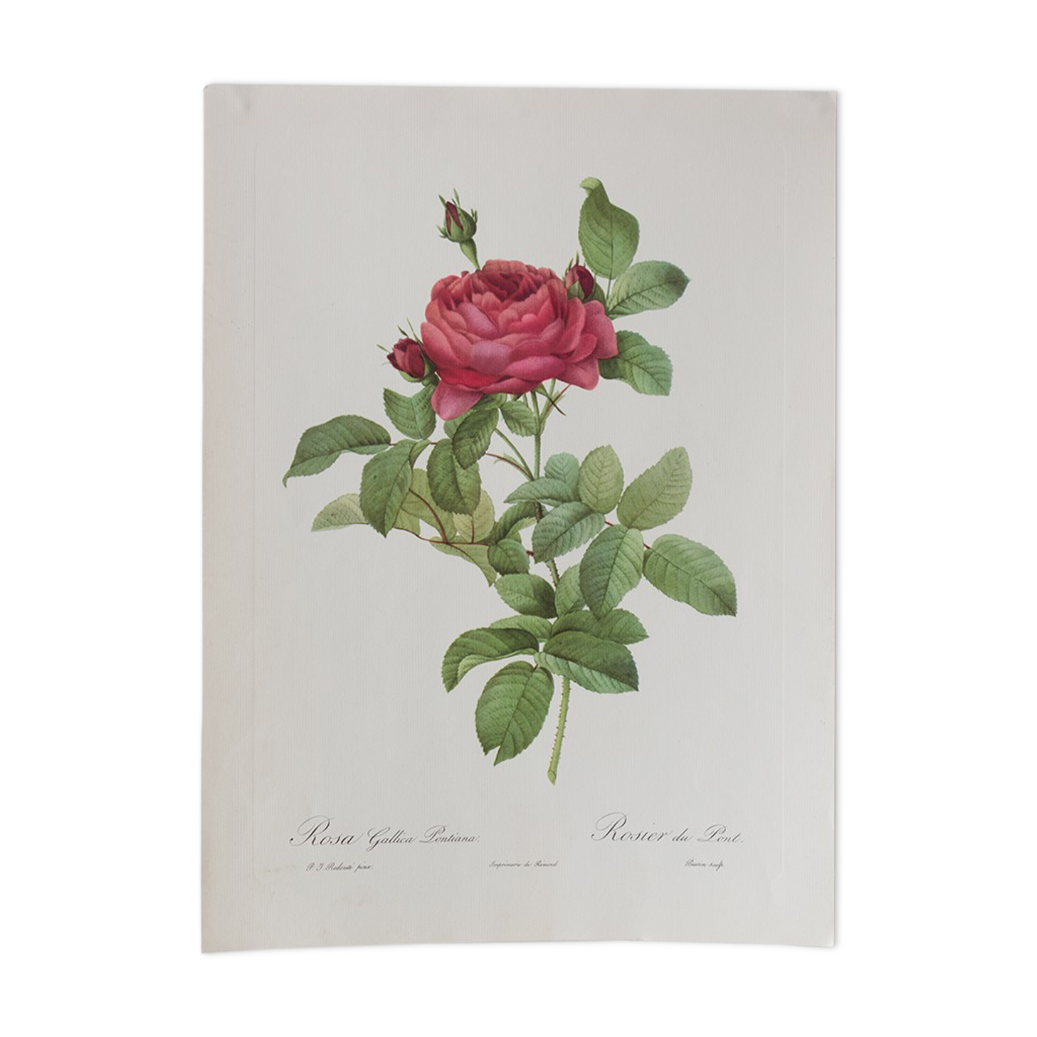 Dreaded botanical board