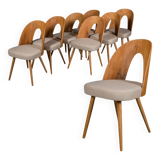 Set of 8 dining chairs by A. Šuman, 1960s