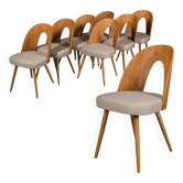 Set of 8 dining chairs by A. Šuman, 1960s