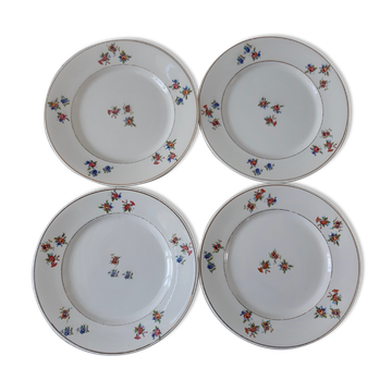 Lot de 4 assiettes Salins modèle Castille