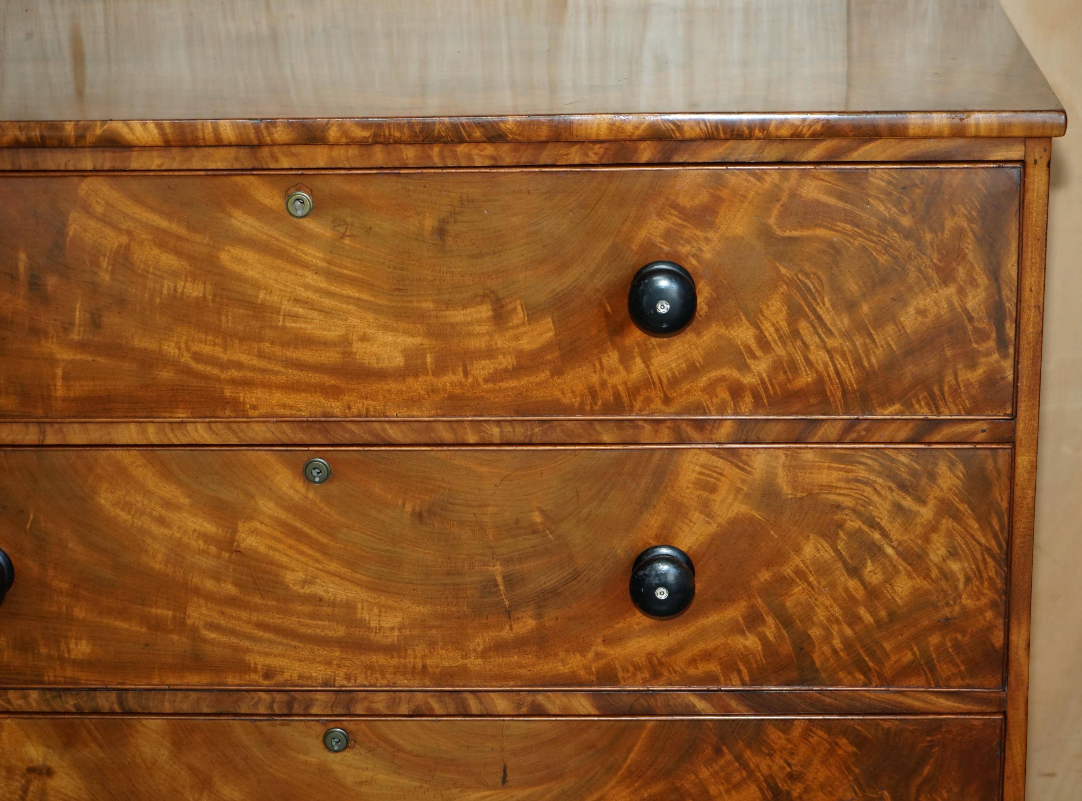 Victorian Chest of Drawers in Satin Walnut, Circa 1860