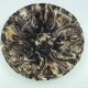 Ancient ceramic cup