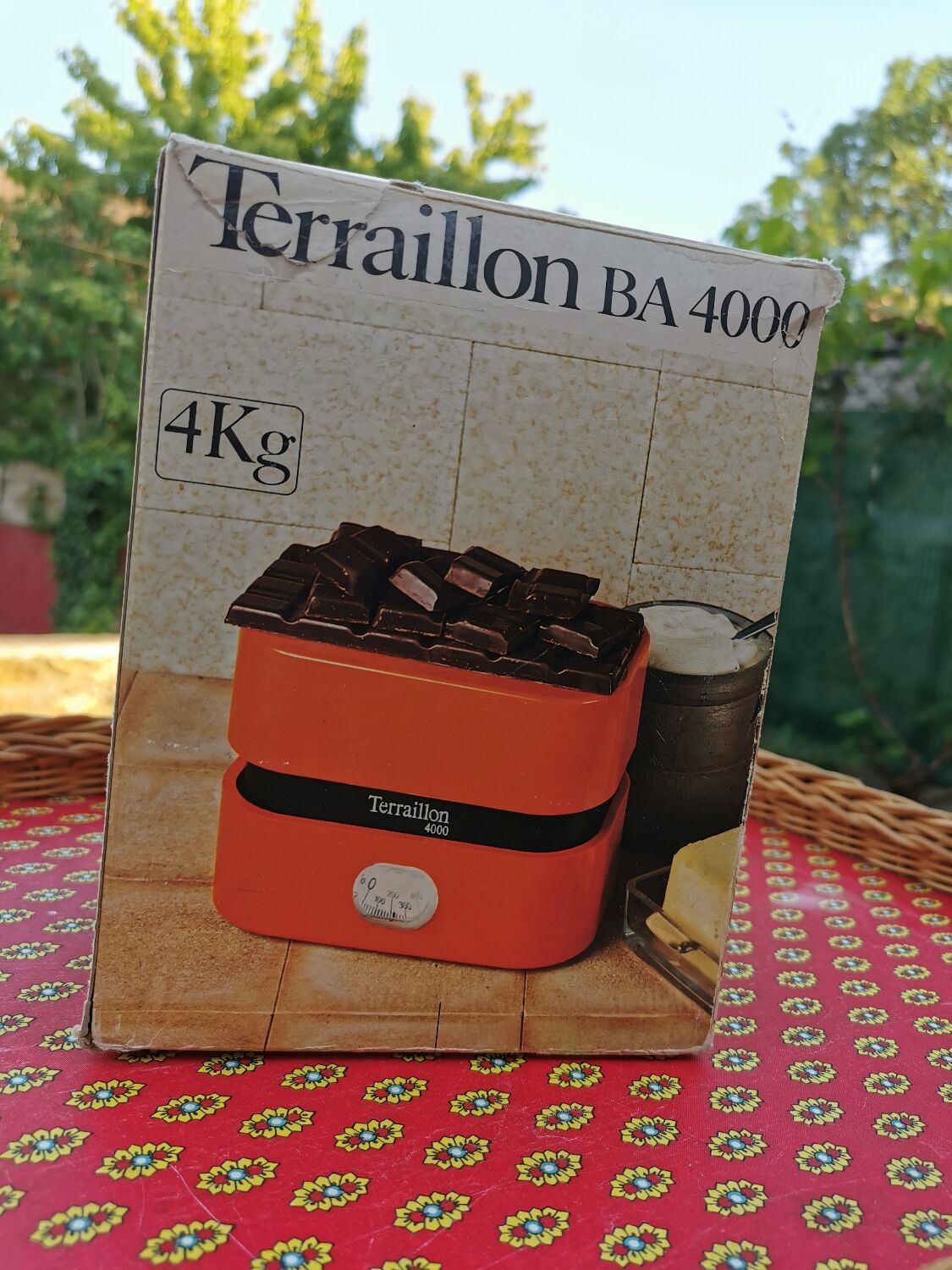 Orange Terraillon scale with box