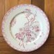 Series of 9 old flat plates Iron Land