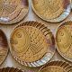 10 flat plates fish décor in vintage Sarreguemines slip