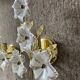 Pair of vintage golden sconces and lucite flowers