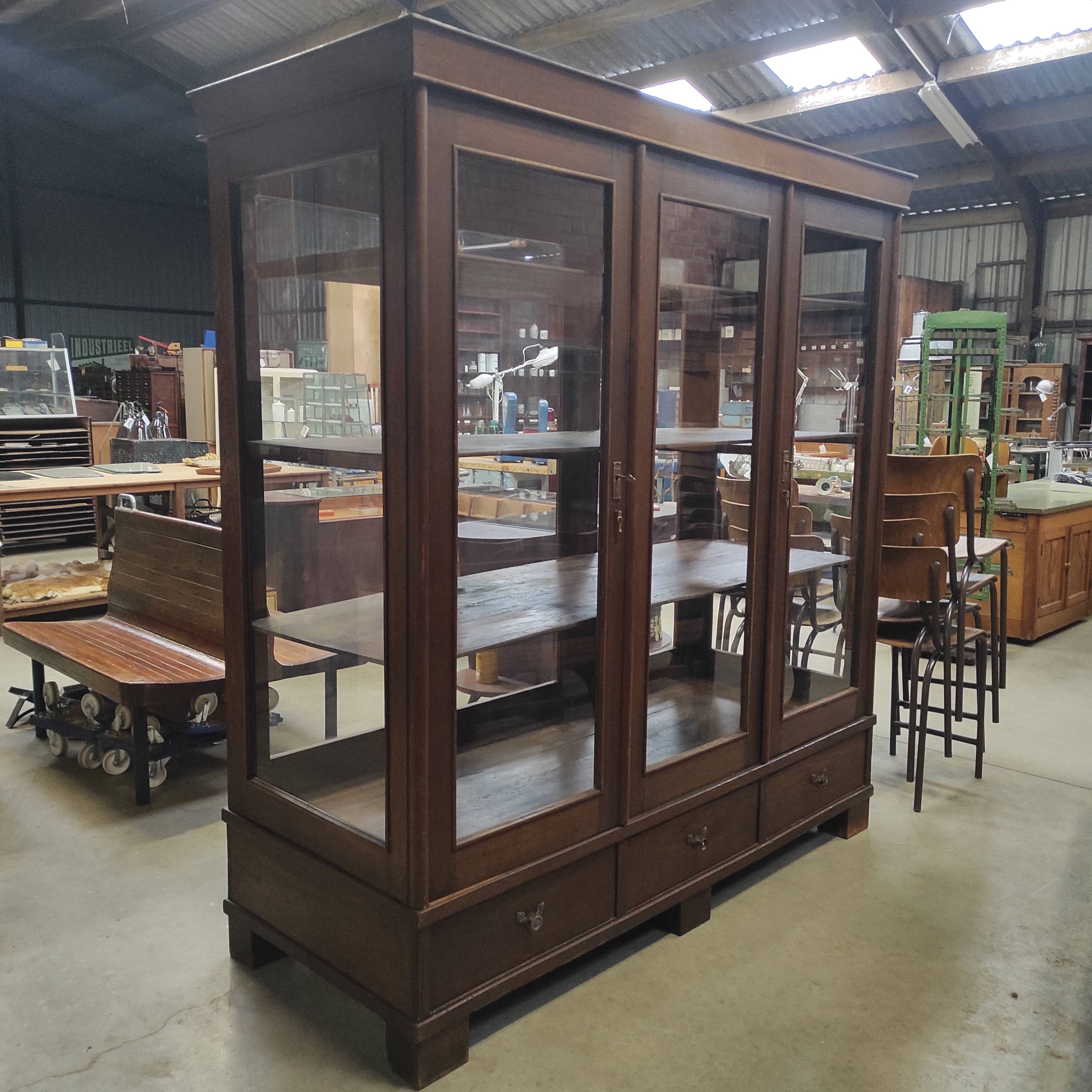 Vitrine de musée 6 tiroirs, vers 1900