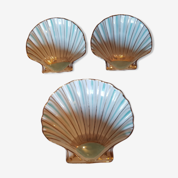 3 porcelain shells