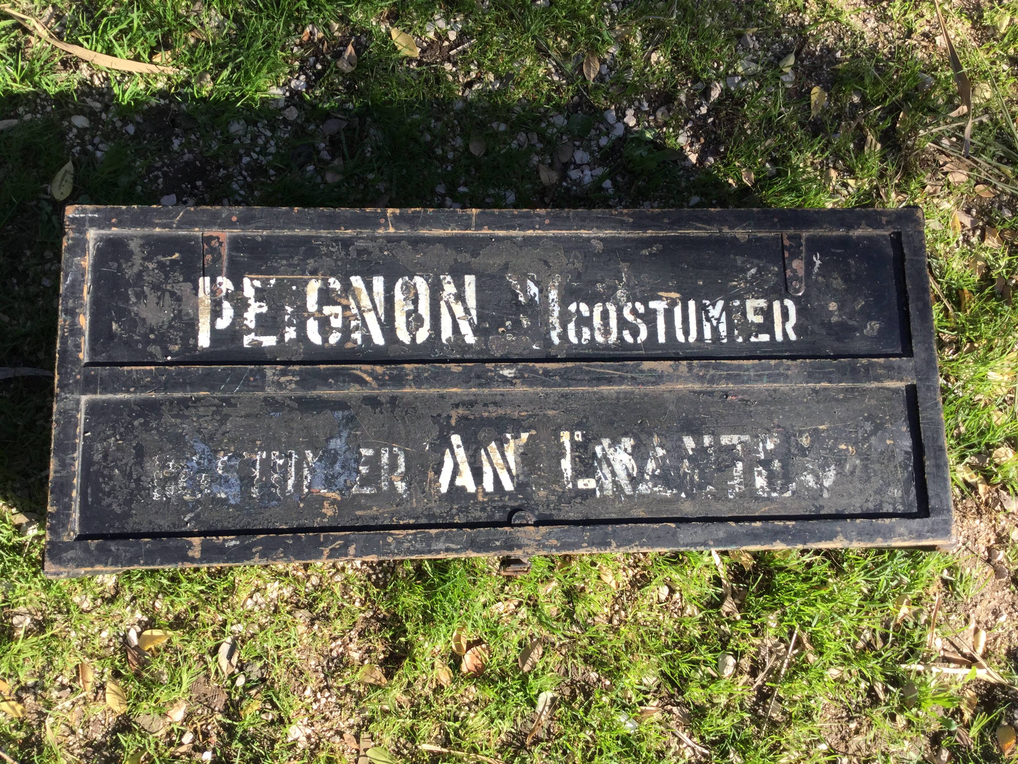 Painted home suit trunk