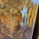 1940 Art Decò nightstands in walnut with door and shelf