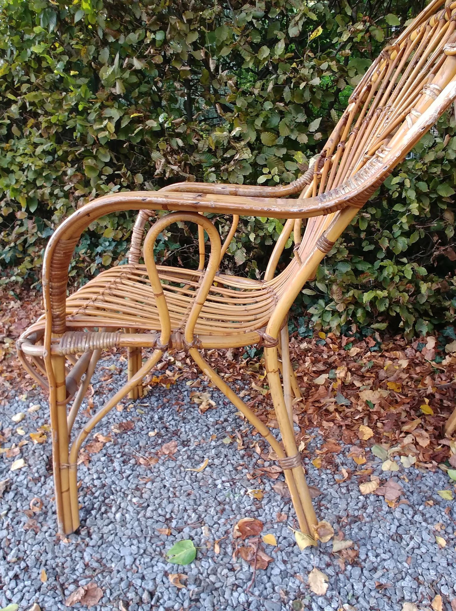 Pair of rattan chairs - 1970