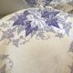 Lot de 10 assiettes Sarreguemines
