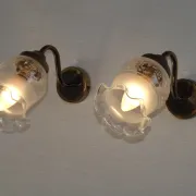 Pair of French Vintage Bronze Effect Metal Wall LIghts Floral Glass Shades
