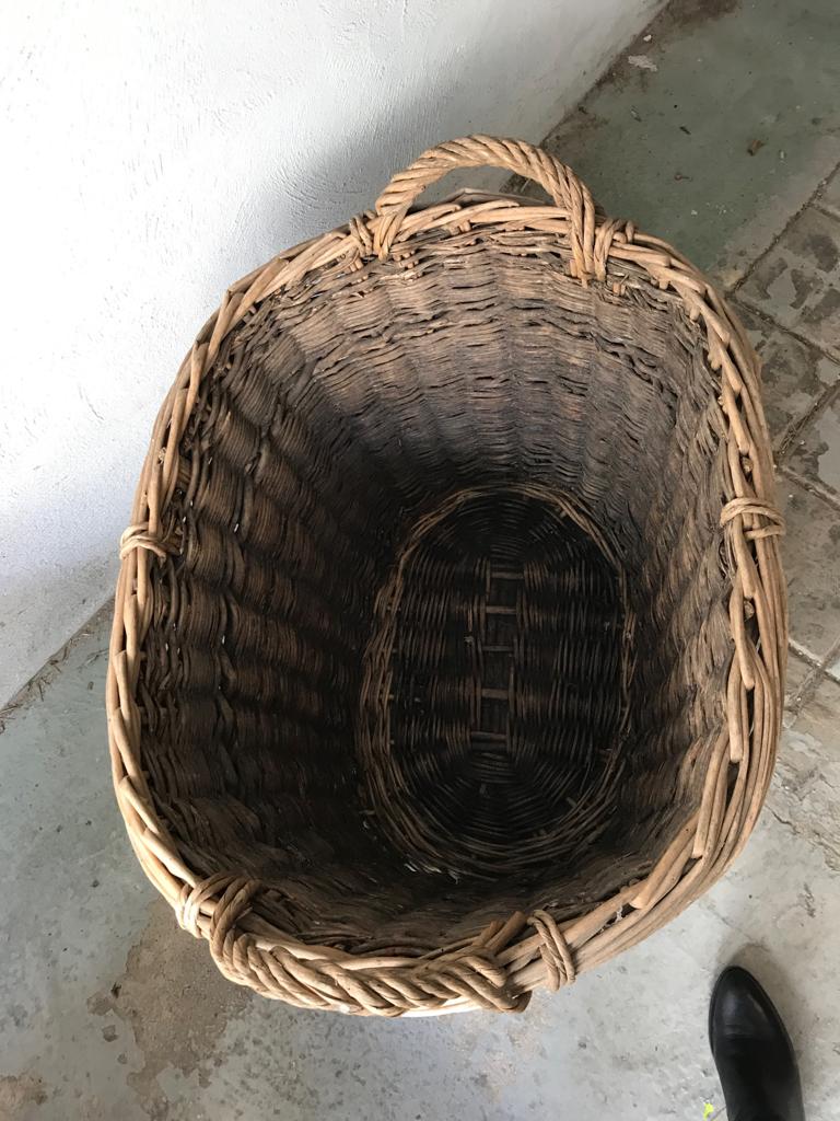 Harvest basket