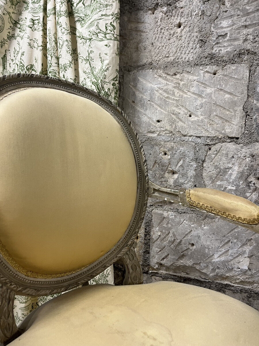 Pair of medallion armchairs