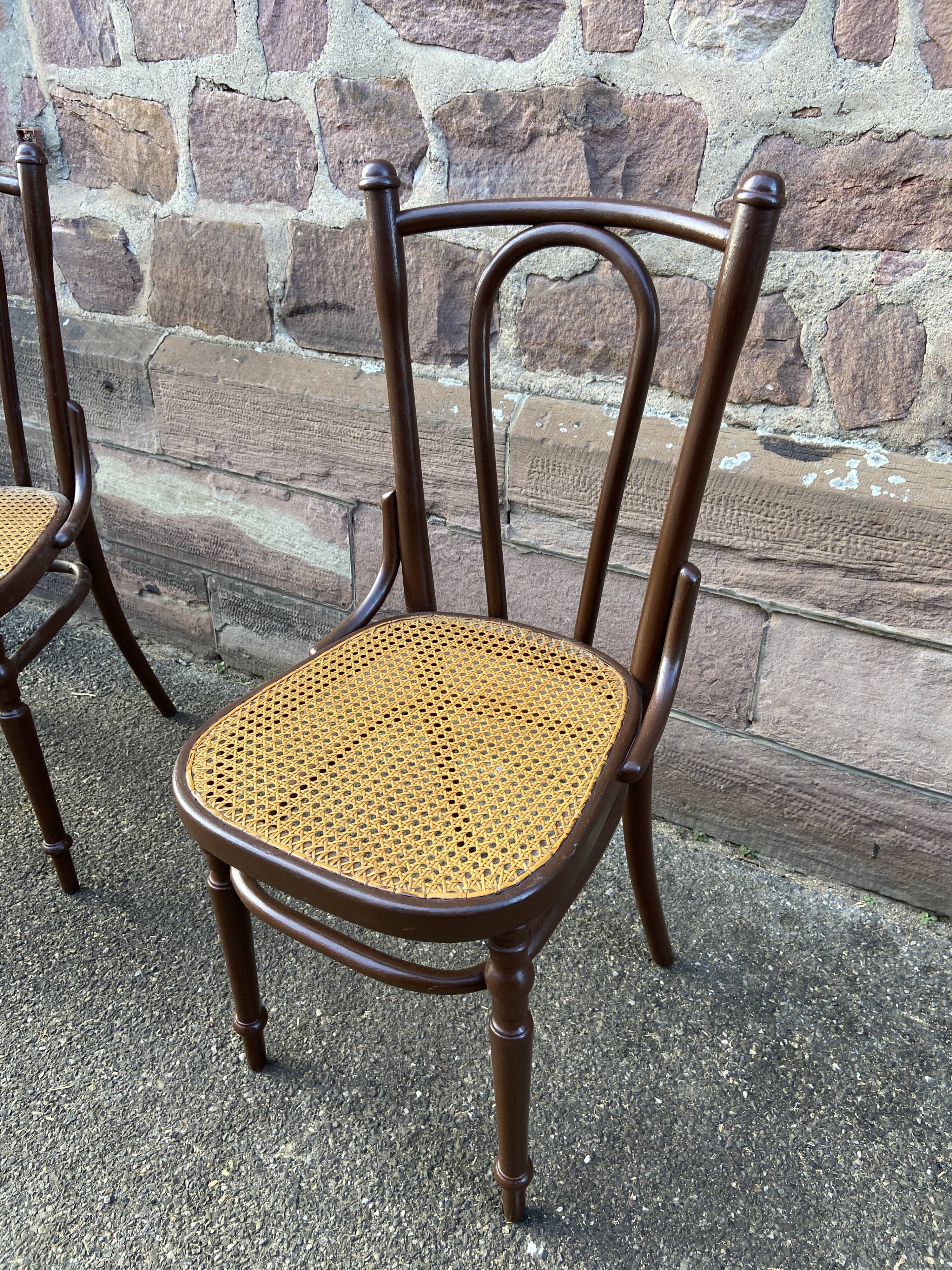 Pair of Viennese bistro chairs Fischel Nr 56 bentwood