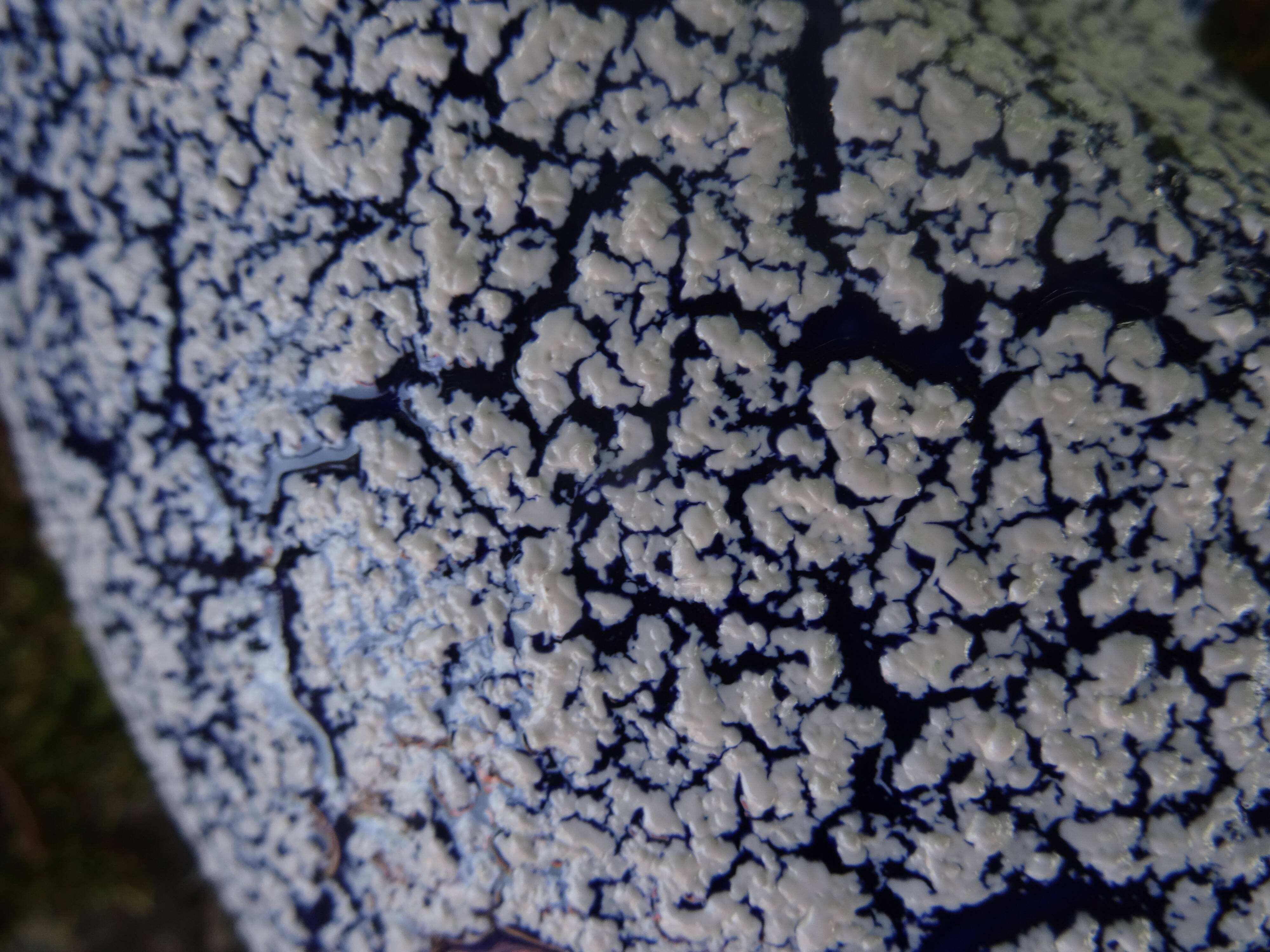 Vintage blue and white enamelled jug