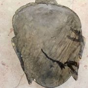 Masque de Bouddha en bois à suspendre