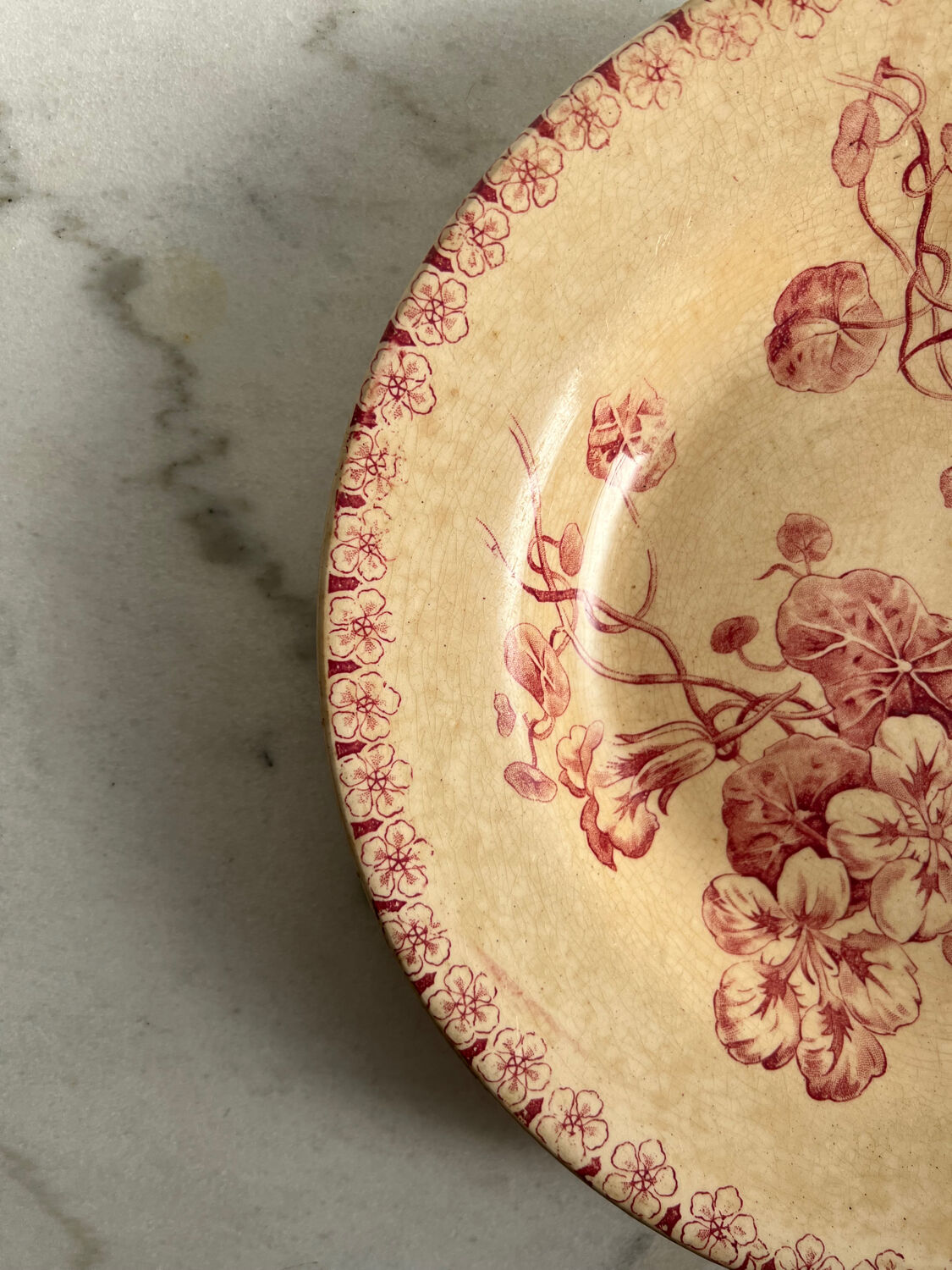 Hollow plate ironstone Gien capusine 1862