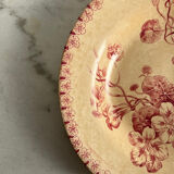 Hollow plate ironstone Gien capusine 1862