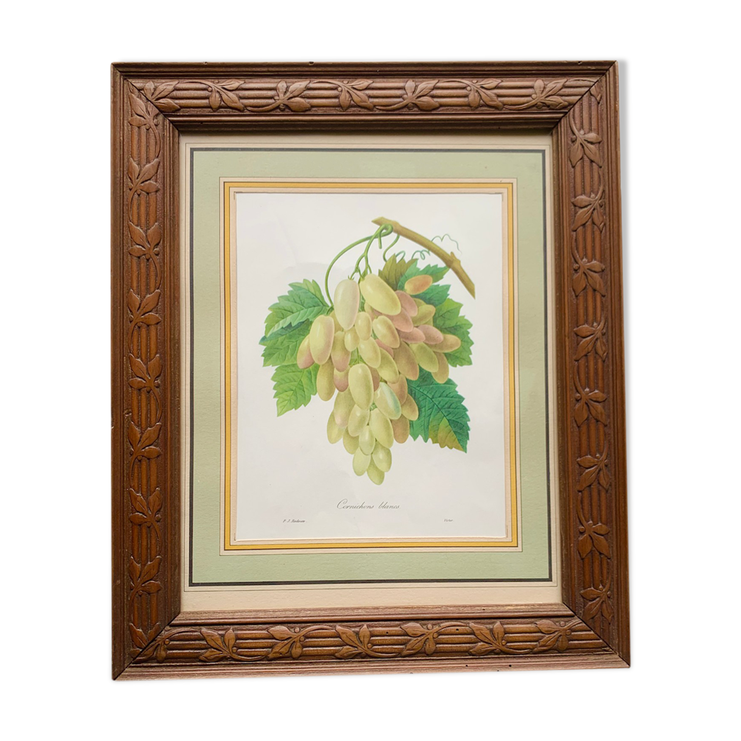 White cornichon grape print