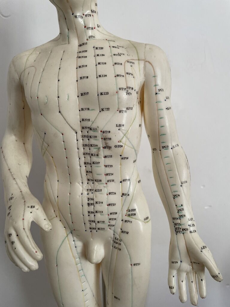 Model acupuncture