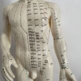 Model acupuncture