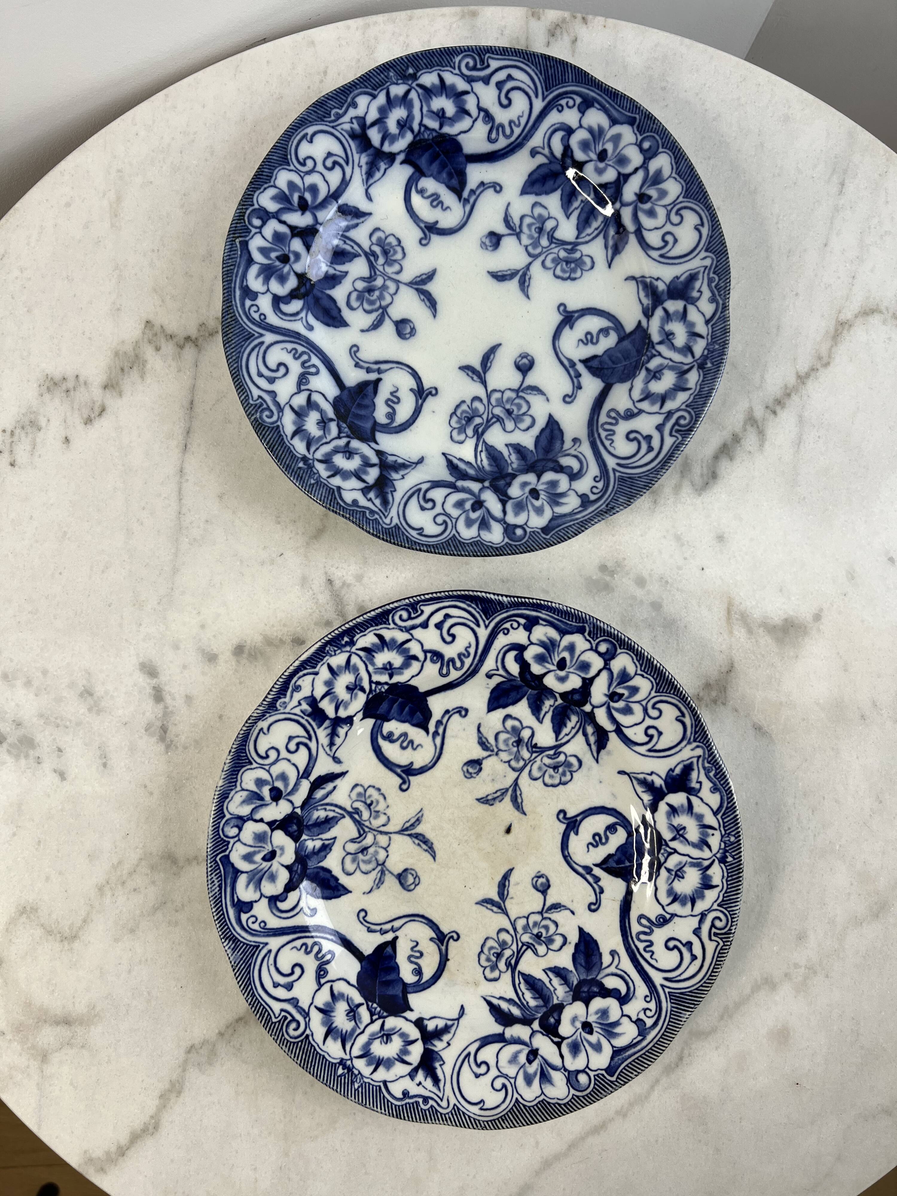 Iron Earth Creil and Montereau Flora set of 2 flat plates