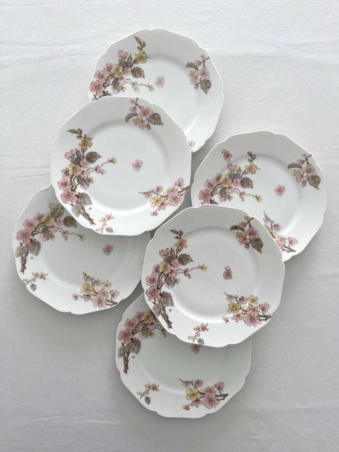 6 antique dessert plates in Limoges porcelain by Haviland & Co.