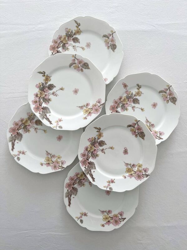 6 assiettes à dessert anciennes en porcelaine de Limoges Haviland & Co